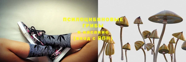меф Заводоуковск