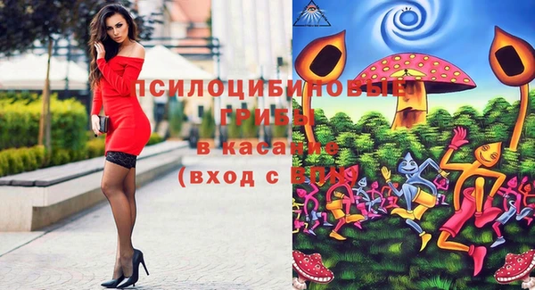 бутират Алексин