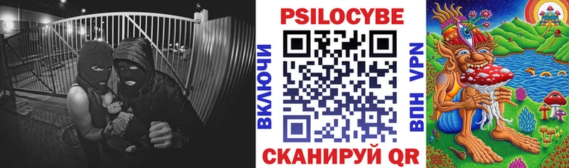 Псилоцибиновые грибы MAGIC MUSHROOMS  OMG ONION  Кизел 
